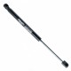 Amortizor telescopic portbagaj EP 9118GS - EinParts 60664833