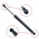 Amortizor telescopic portbagaj EP 9149GS EinParts 1 072 394