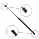 Amortizor telescopic portbagaj EP 9166GS - EinParts 1 32 719