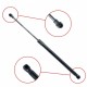 Amortizor telescopic portbagaj EP 9167GS - EinParts 90452 AV700