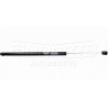 Amortizor telescopic portbagaj EP 9176GS - EinParts 1 32 731