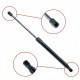 Amortizor telescopic portbagaj EP 9198GS - EinParts 1K6 827 550 D