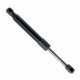 Amortizor telescopic portbagaj EP 9216GS EinParts 50508010