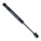 Amortizor capotă EinParts EP 11050GS - telescop portbagaj/capotă 51237148864