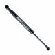 Amortizor telescopic portbagaj EP 9229GS EinParts 60694168