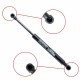 Amortizor telescopic portbagaj EP 9229GS EinParts 60694168
