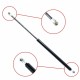 Amortizor telescopic portbagaj EP 9867GS EinParts 74820ST3E01