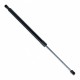 Amortizor telescopic portbagaj EP 9877GS EinParts 81770-22200