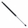 Amortizor telescopic portbagaj EP 9877GS EinParts 81770-22200