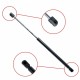 Amortizor telescopic portbagaj EP 10006GS EinParts 2029800364