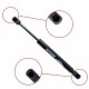 Amortizor telescopic portbagaj EP 10082GS EinParts 84430AV600