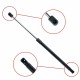 Amortizor telescopic portbagaj EP 10148GS EinParts 0132 865
