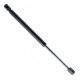 Amortizor telescopic portbagaj EP 10236GS EinParts 6025401711