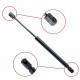 Amortizor telescopic portbagaj EP 10236GS EinParts 6025401711