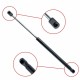 Amortizor telescopic portbagaj EP 10271GS - EinParts 7700828451