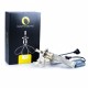 Becuri LED OCTOPUS H4 CREE - Iluminare Auto de Înaltă Performanță