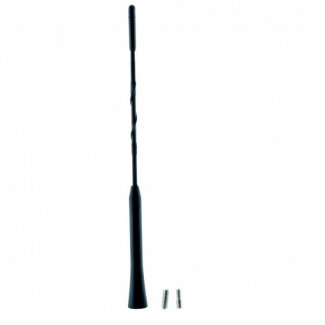 Antena auto 24 cm Einparts EPCA05 - Accesorii electrice, antene auto