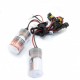 Set Xenon H11M 4300K Ultra Canbus EINPARTS - Iluminat Auto