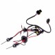 Set Xenon H7M 4300K Ultra Canbus EINPARTS - Iluminat Auto