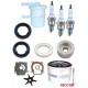 Set de service Suzuki DF25 DF30 (2001-10)