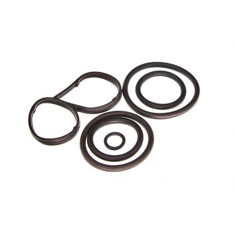 Set garnituri radiator ulei VW Touareg 4.2 03- 77198405