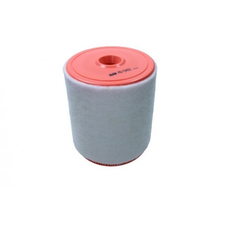 Filtru de aer Audi RS6/RS7/S8 4.0 TFSI 13-18 4G0133843L
