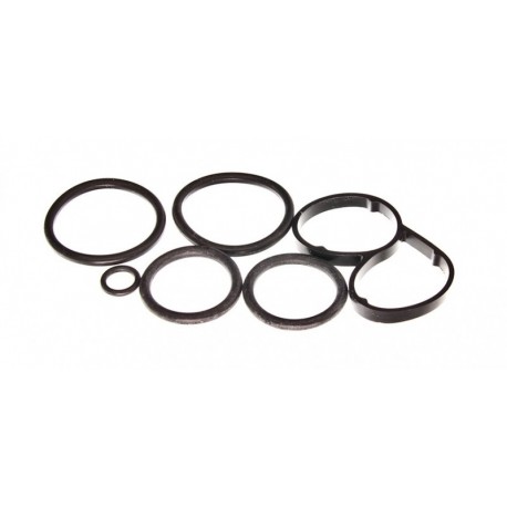 Set garnituri radiator ulei VW Touareg 4.2 03- 077198405