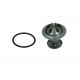 Termostat Ford 82°C 1 313 546