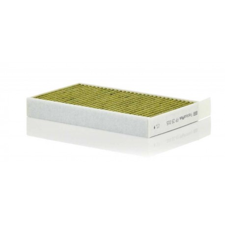 Filtru cabină FreciousPlus Tesla Model 3 01.17- 1buc 1107681-00-B