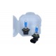 Bec HB4 12V/55W Xenon Set 2 bucăți Range Power White (fără ECE) 0486262100