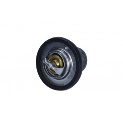 Termostat Ford 88C Citroen/Peugeot 1 096 283