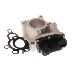 Supapă EGR Renault 2,0DCI 850785