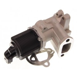 Supapă EGR Fiat 1.3 MultiJet 851368