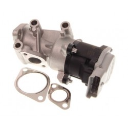 Supapă EGR Citroën 2,7 HDI 1618N6