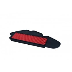 Filtru de aer Moto Agility 4T Dreapta R10 5011