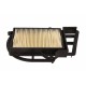 Filtru de aer Moto X-Max 250 HFA4203