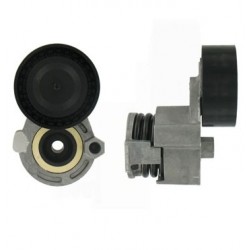 Tensionator curea multișanț Renault 1,5 DCI T39009