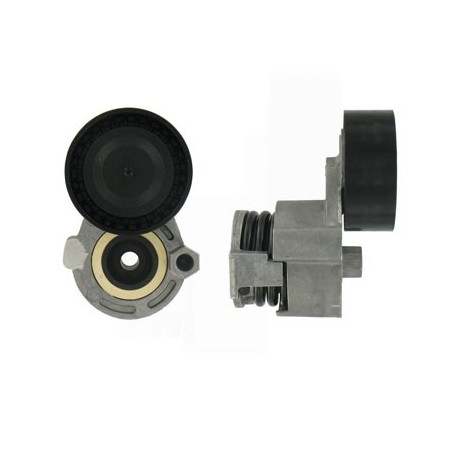 Tensionator curea multișanț Renault 1,5 DCI T39009