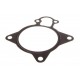 Garnitură pompă lichid de răcire Fiat Ducato 3.0D 06- 1206.F1