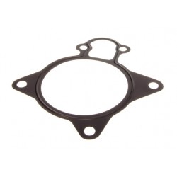 Garnitură pompă lichid de răcire Fiat Ducato 3.0D 06- 1206.F1