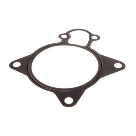 Garnitură pompă lichid de răcire Fiat Ducato 3.0D 06- 1206.F1