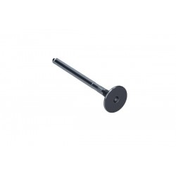 Supapă evacuare Rover 1,4 16V 89-91 61587
