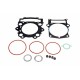 Set garnituri motor partea superioară Aprilia Pegaso Strada / Fun / Factory / Trail 2005-2009 (1 buc.) P400010620030