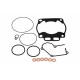 Set garnituri motor top end Kawasaki KX 250 2005-2008 P400250600021