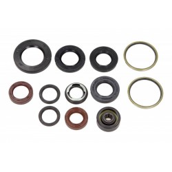 Set garnituri de etanșare ulei motor Malaguti Madison 4T LC 125 1999-2001 (12 buc.) P400325400001