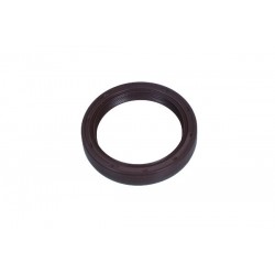 Simering arborelui cu came Fiat 40004380