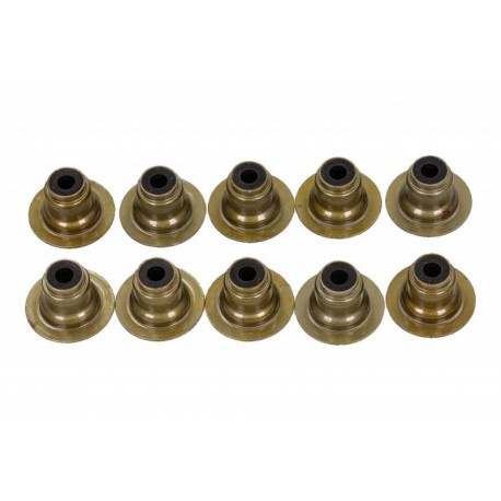 Set garnituri supape moto Polaris RZR XP 2013-2014 (10 buc.)
