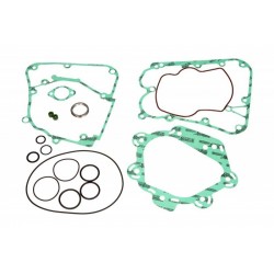 Set garnituri motor complet motocicletă Kymco B&W 250 2000 (22 piese) P400210850231