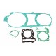 Set garnituri motor complet motocicletă Kymco B&W 250 2000 (22 piese) P400210850231