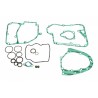 Set garnituri motor complet motocicletă Beta Eikon 125 1999-2002 (20 buc.)